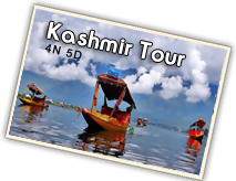 India Tour City Provide Kashmir Tour Packages On Best Rates.