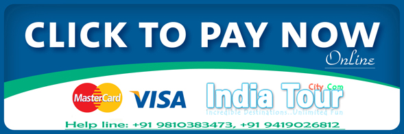 Online Payments: India Tour City